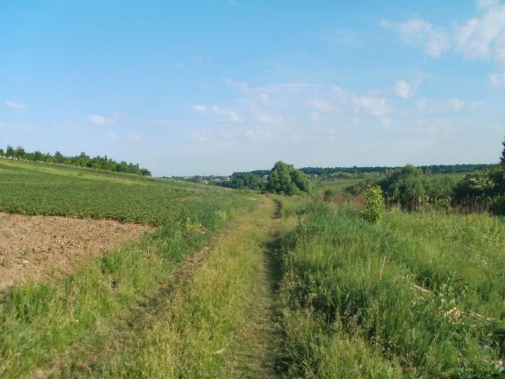 Млинки з panoramio.com - Млынки
