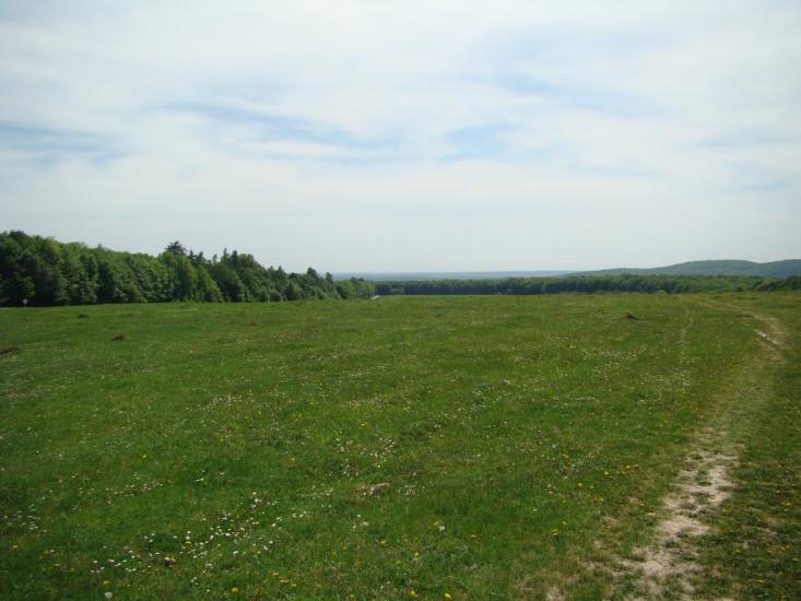 Іванківці з panoramio.com - Иванковцы