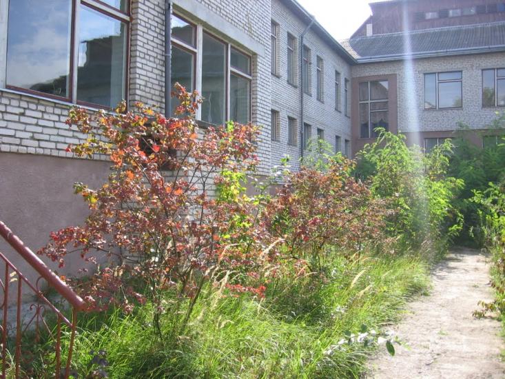 Старичі з panoramio.com - Старичі