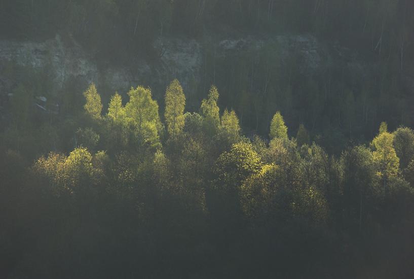 Іванківці з panoramio.com - Ivankivtsi