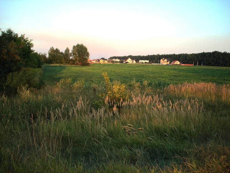 Глеваха з panoramio.com - Glevakha