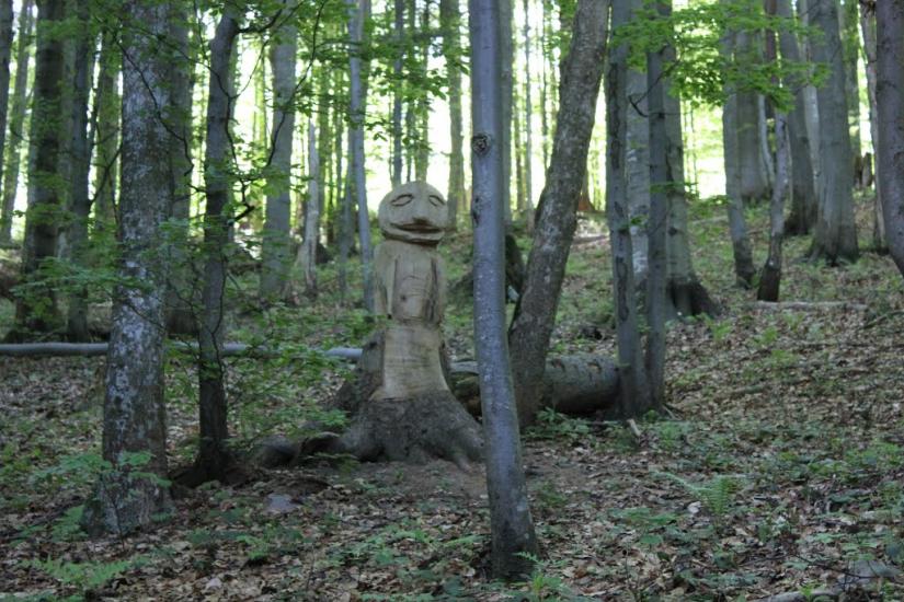 Домашин з panoramio.com - Домашин