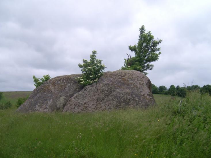 Веселий Кут з panoramio.com - Веселий Кут
