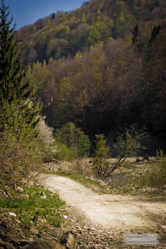 Пасічна з panoramio.com - Пасечная