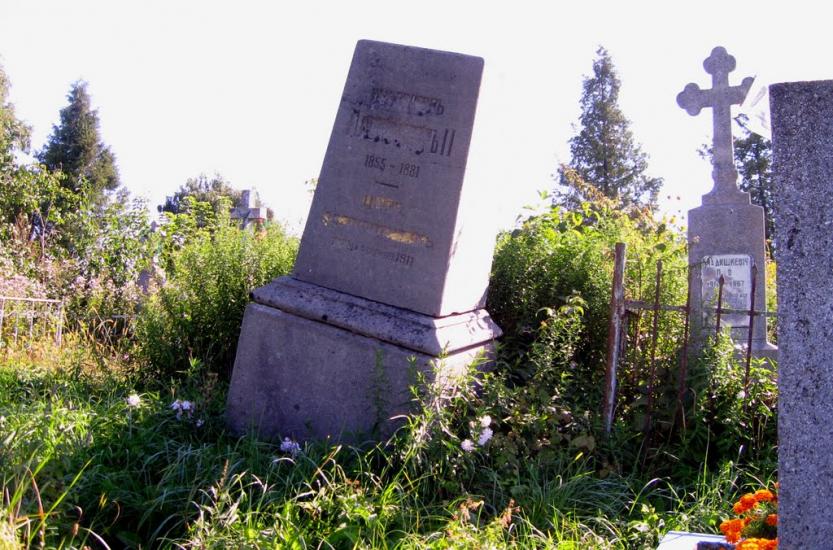 Горохів з panoramio.com - Горохів