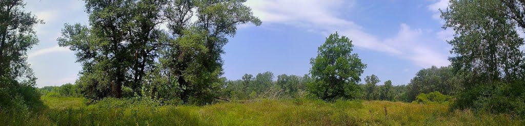 Говтва з panoramio.com - Govtva