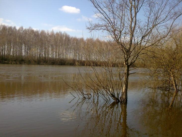 Камінь з panoramio.com - Камінь