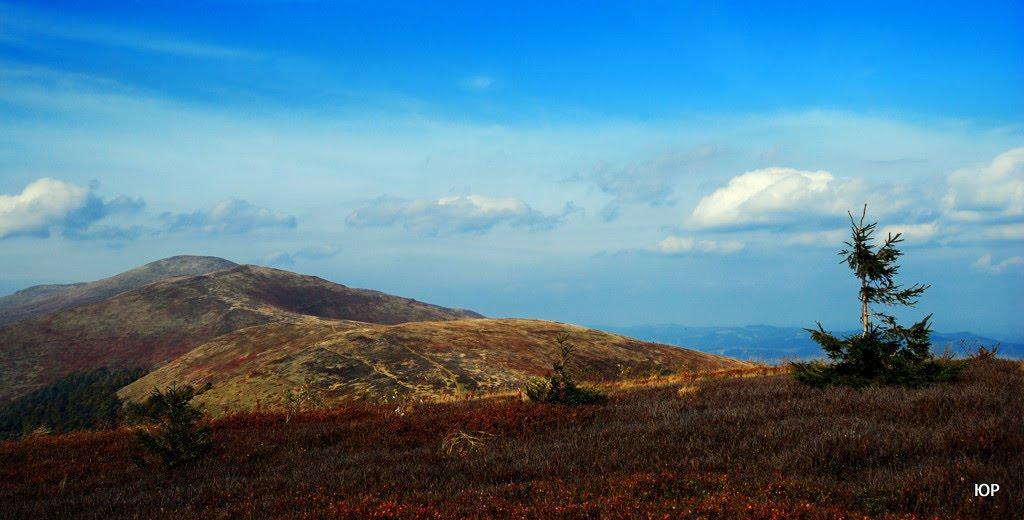 Потік з panoramio.com - Поток