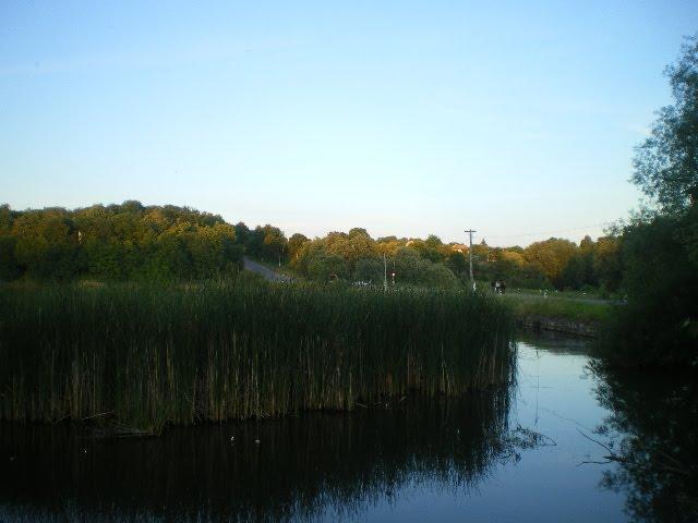 Черепашинці з panoramio.com - Cherepashyntsi