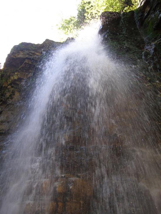 Кричка з panoramio.com - Кричка