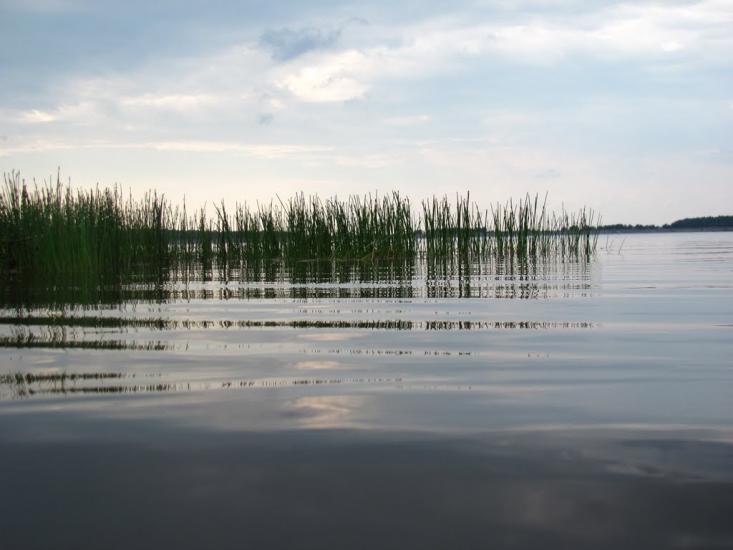 Дернаки з panoramio.com - Дернаки