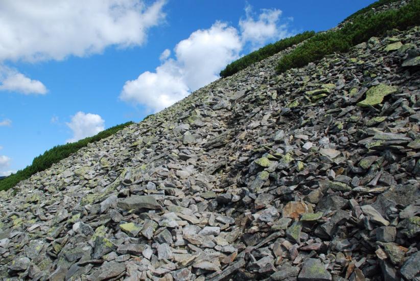 Черник з panoramio.com - Черник