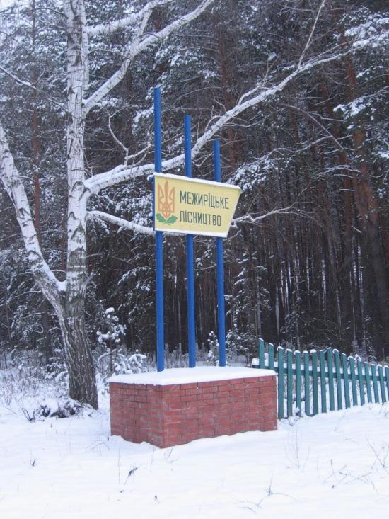 Межиріч з panoramio.com - Межирич