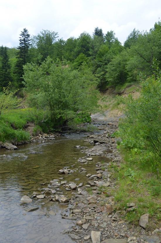 Крушельниця з panoramio.com - Крушельница