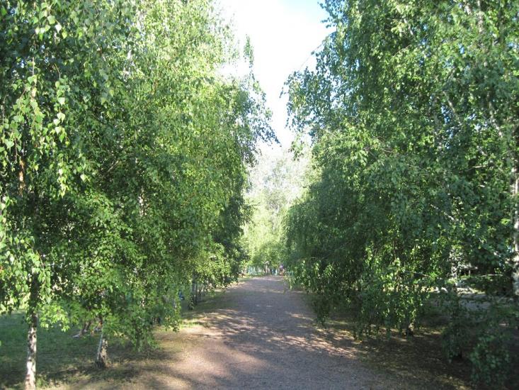 Омельник з panoramio.com - Омельник