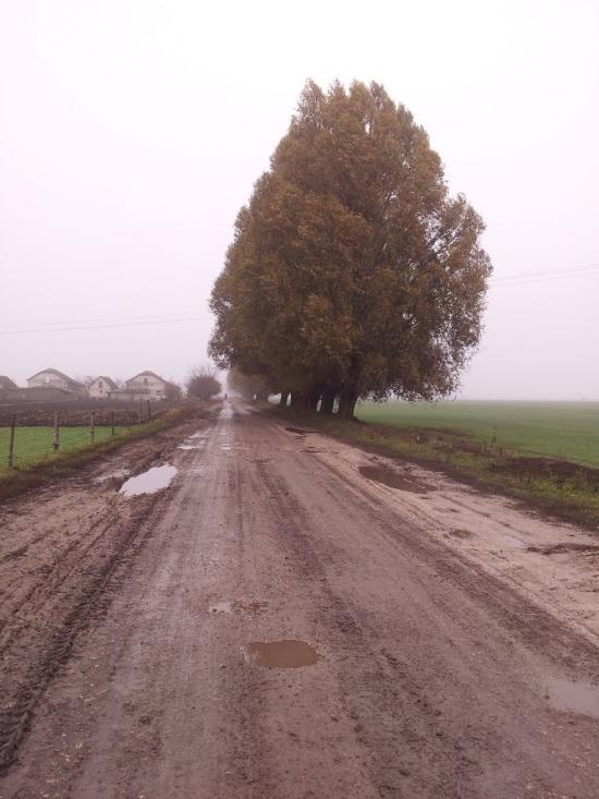 Ріпна з panoramio.com - Ріпна