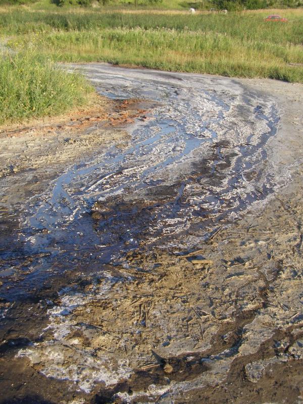 Старуня з panoramio.com - Старуня