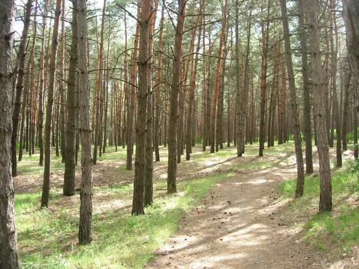 Широке з panoramio.com - Широкое