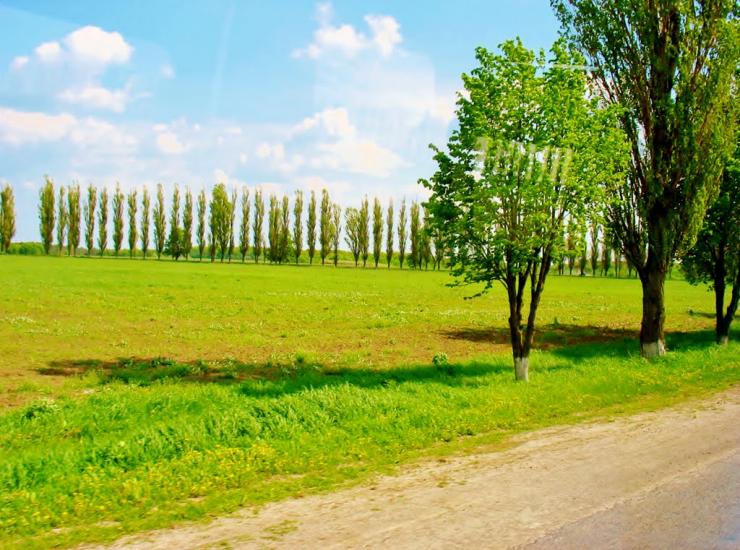 Хижинці з panoramio.com - Хижинці