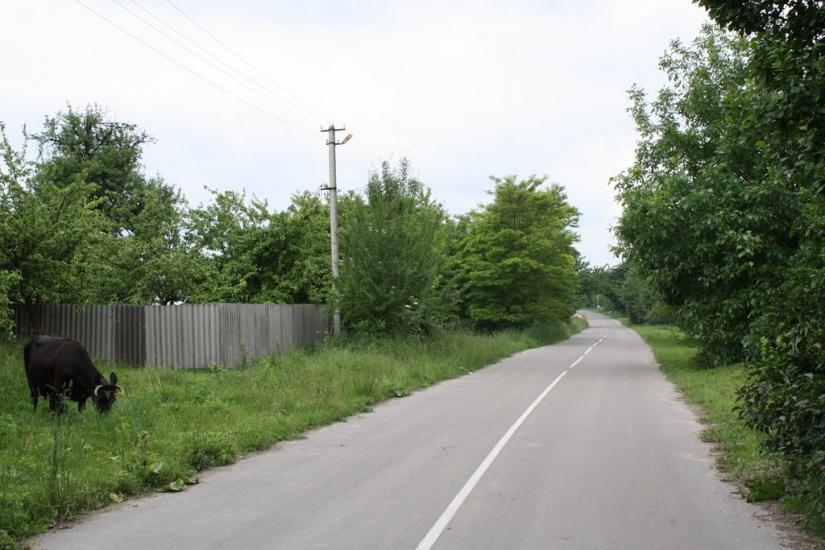 Верхівка з panoramio.com - Верховка