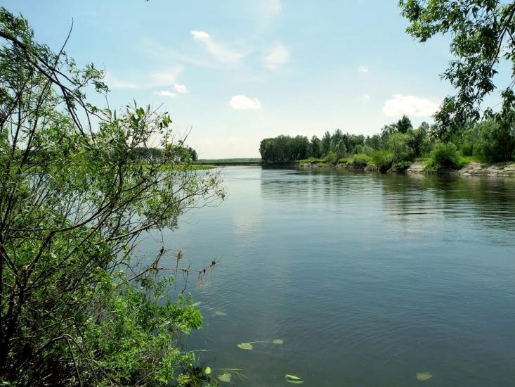 Новомутин з panoramio.com - Novomutyn