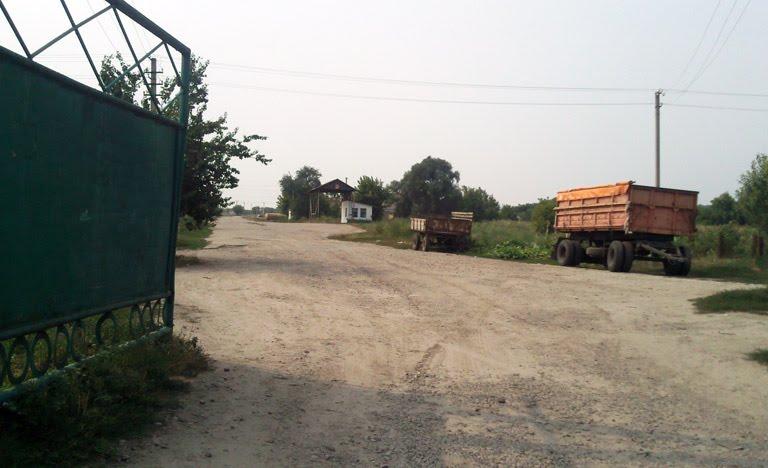 Мисайлівка з panoramio.com - Мисайлівка