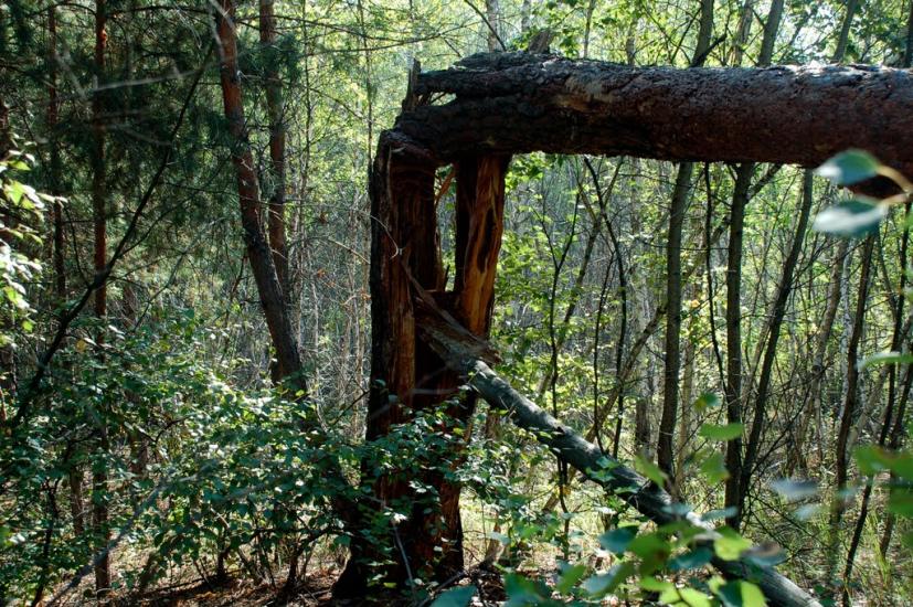 Знаменівка з panoramio.com - Znamenivka