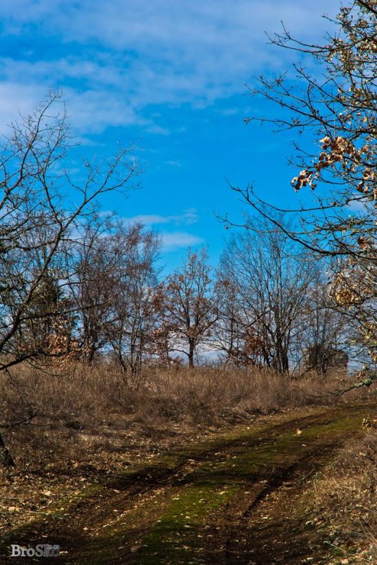 Білокам'яне з panoramio.com - Білокам'яне