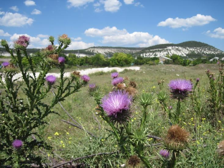 Інкерман з panoramio.com - Инкерман
