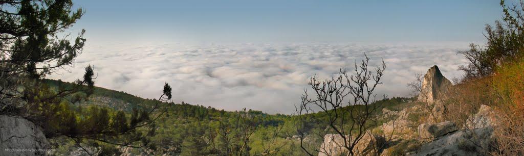 Оползневе з panoramio.com - Оползневое