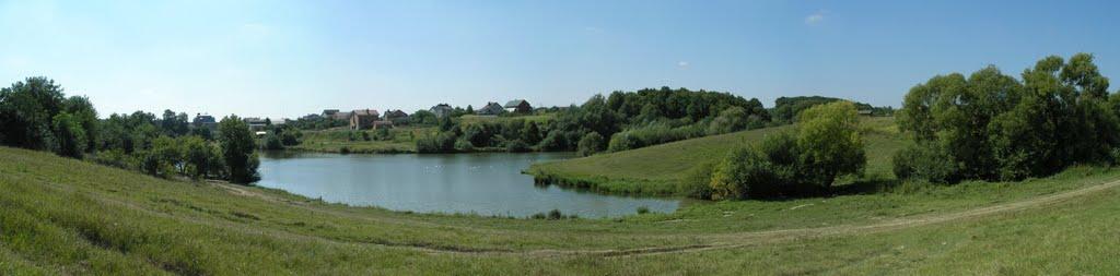 Зарванці з panoramio.com - Зарванцы