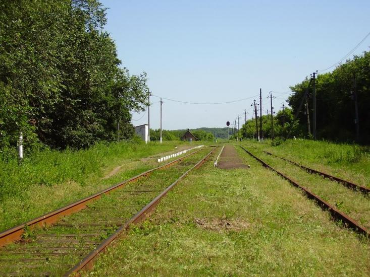 Красна Гора з panoramio.com - Красная Гора