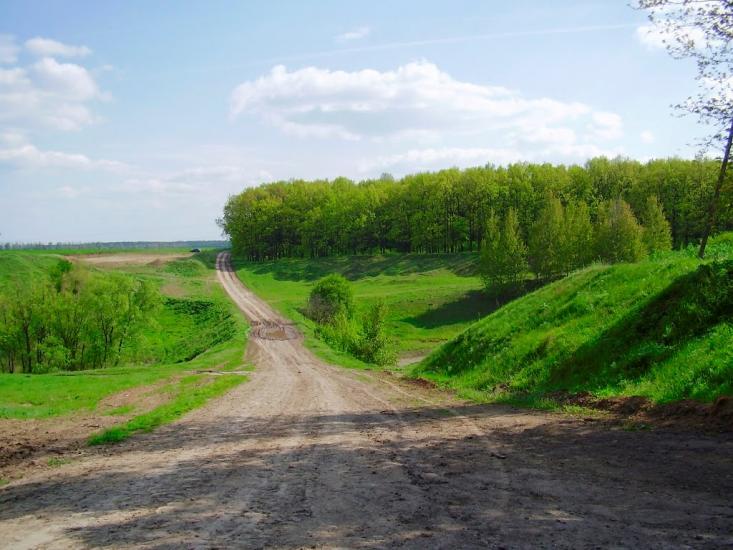 Дзензелівка з panoramio.com - Дзензелівка