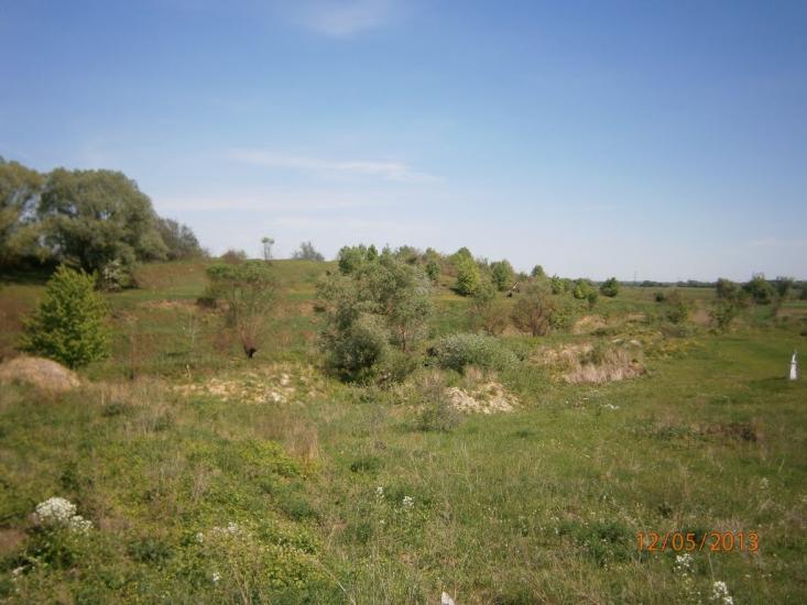 Дем'янка-Наддністрянська з panoramio.com - Демянка-Надднестрянская