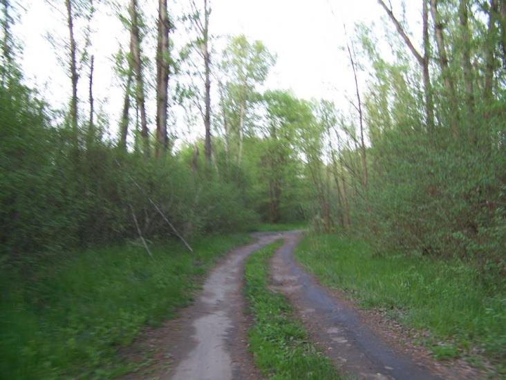 Самусіївка з panoramio.com - Самусіївка