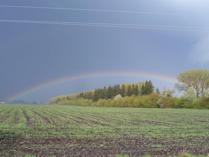 Григорівка з panoramio.com - Григоровка
