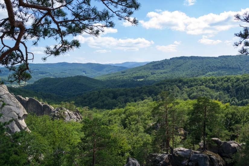 Поляниця з panoramio.com - Поляница