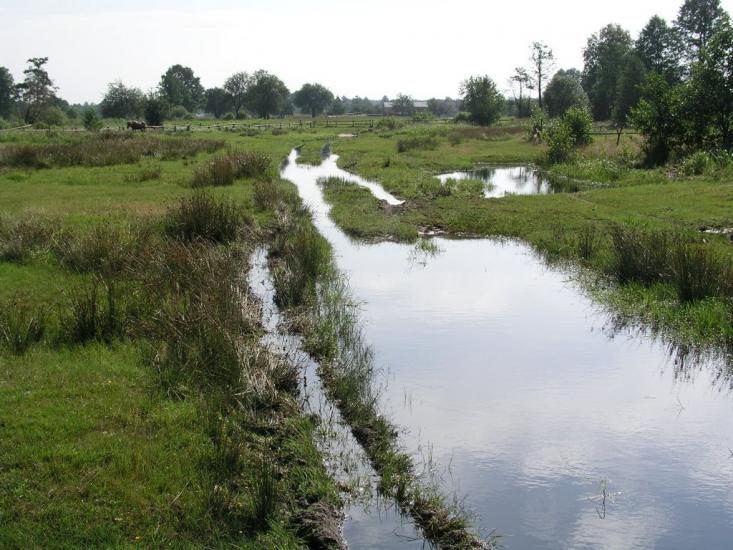 Бережниця з panoramio.com - Бережниця