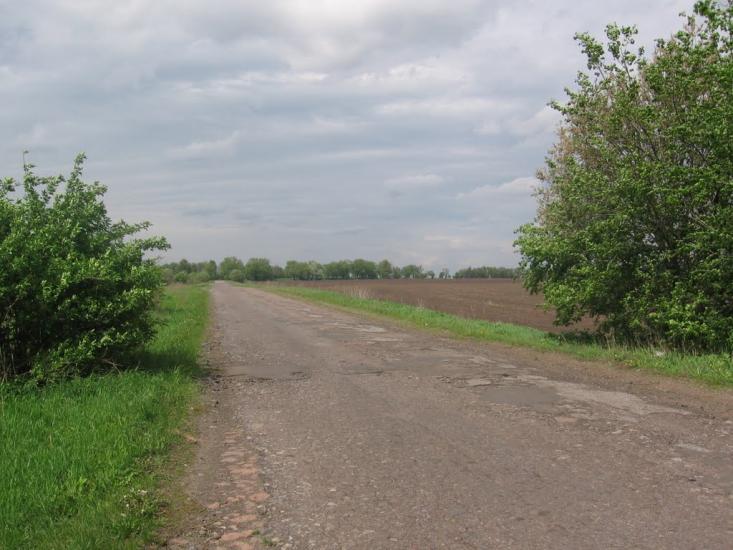 Товстоліс з panoramio.com - Товстоліс