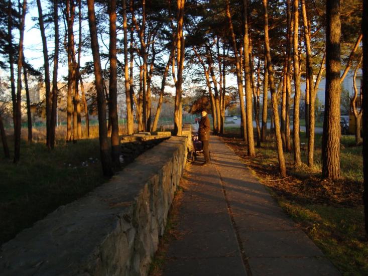 Власівка з panoramio.com - Власовка