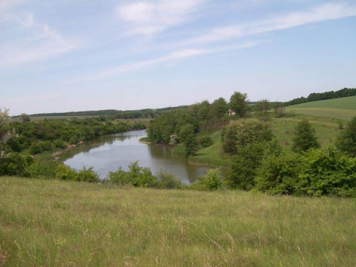Веселий Кут з panoramio.com - Веселий Кут