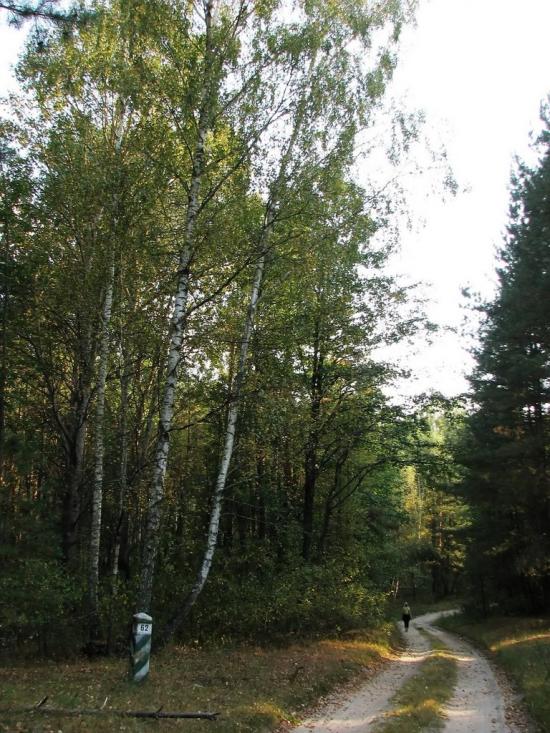 Славутич з panoramio.com - Славутич