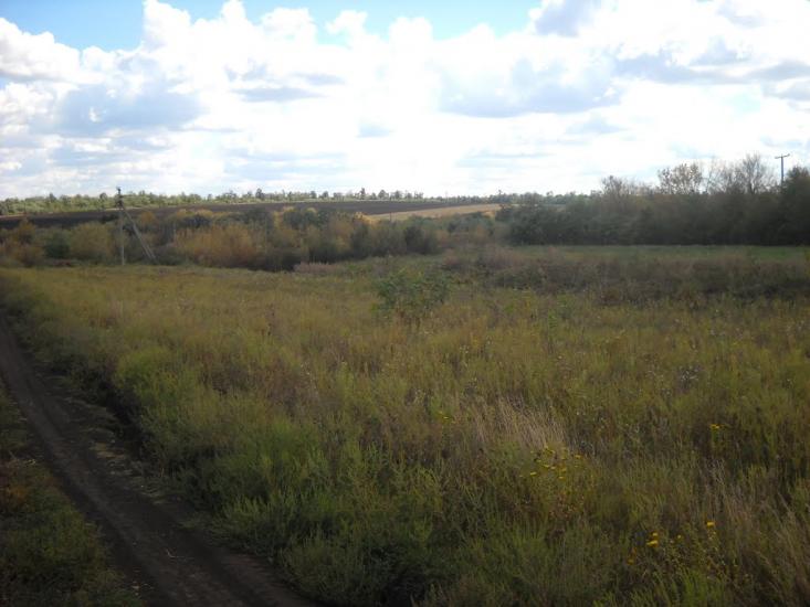 Бобринець з panoramio.com - Бобринец