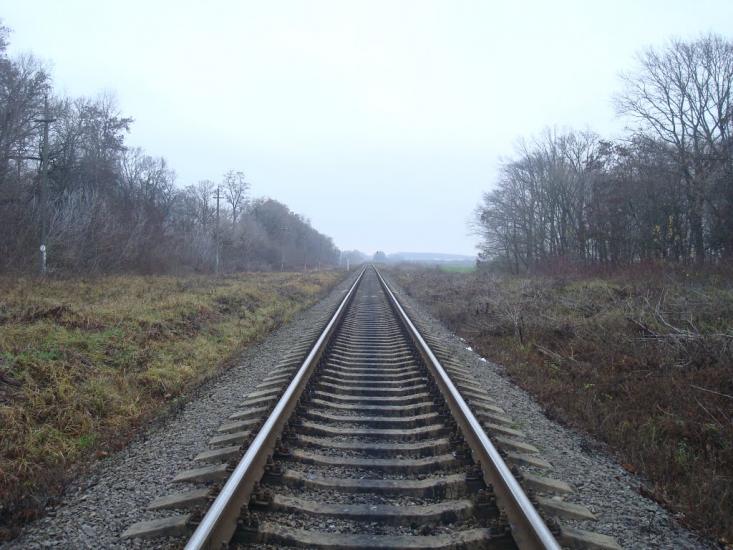 Воронківці з panoramio.com - Воронковцы