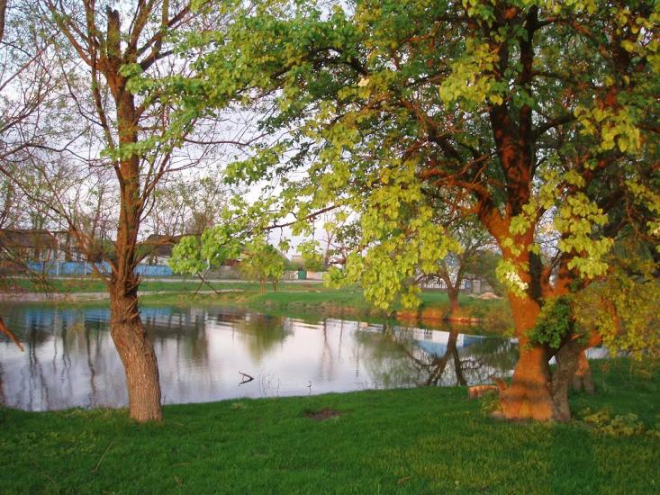 Віленька з panoramio.com - Виленка