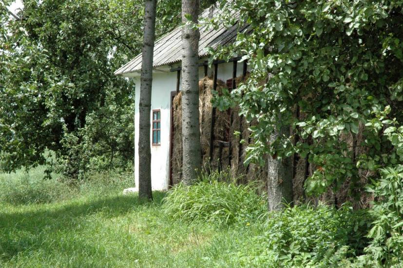 Червоний Степ з panoramio.com - Червоная Степь