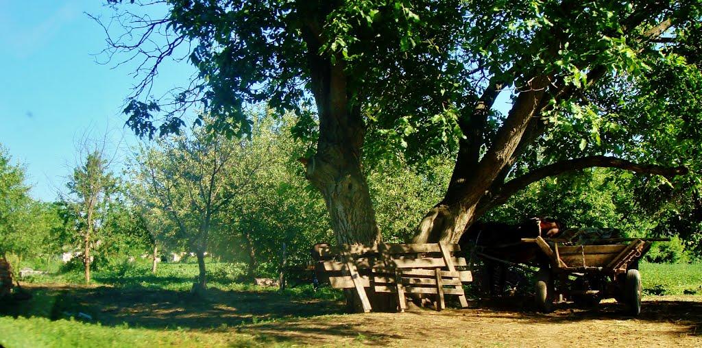 Козацьке з panoramio.com - Казацкое