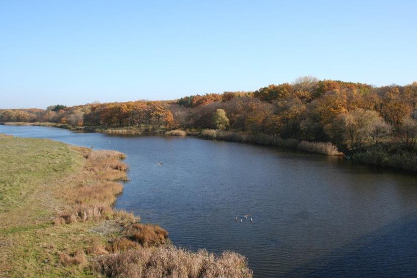 Вільне з panoramio.com - Вільне