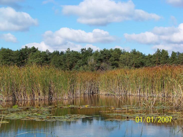 Пулемець з panoramio.com - Пулемець