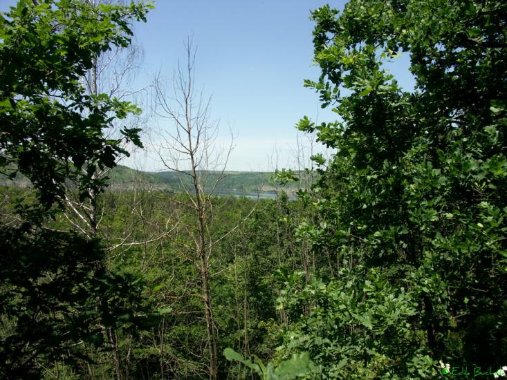 Дністрівка з panoramio.com - Днестровка